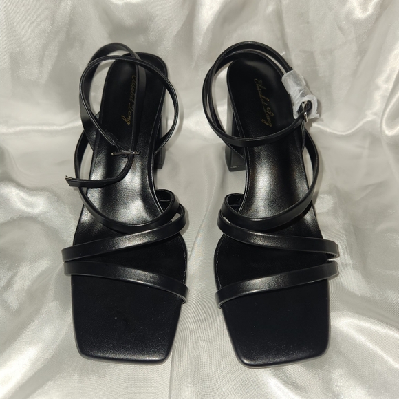 Shoes - Black Chunky Heels with Ankle Strap | Sz 8.5